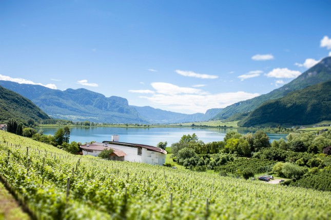 Seehotel Ambach am Kalterer See